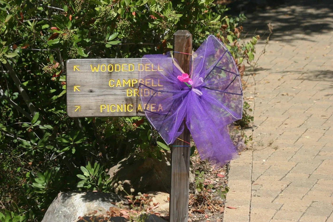 Fairy Homes & Nature Crafts Workshop