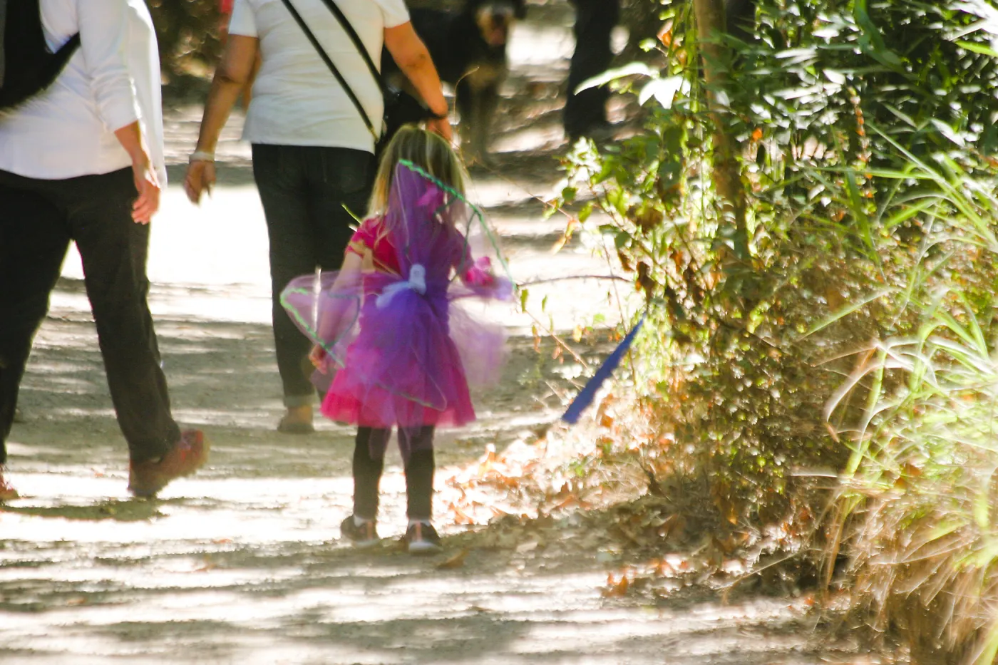 Fairy Homes & Nature Crafts Workshop