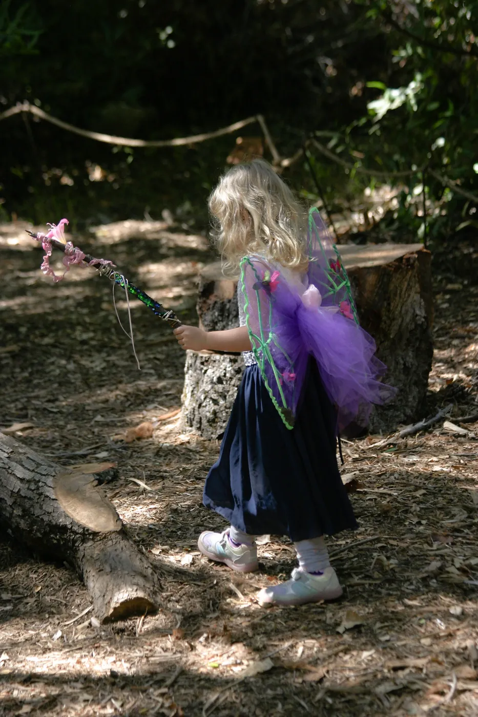 Fairy Homes & Nature Crafts Workshop, making fairy wings
