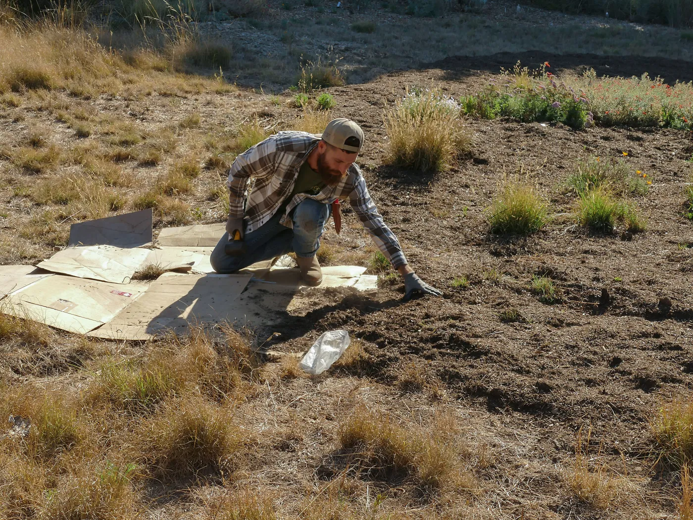 Dan Hite demonstrating sheet mulching