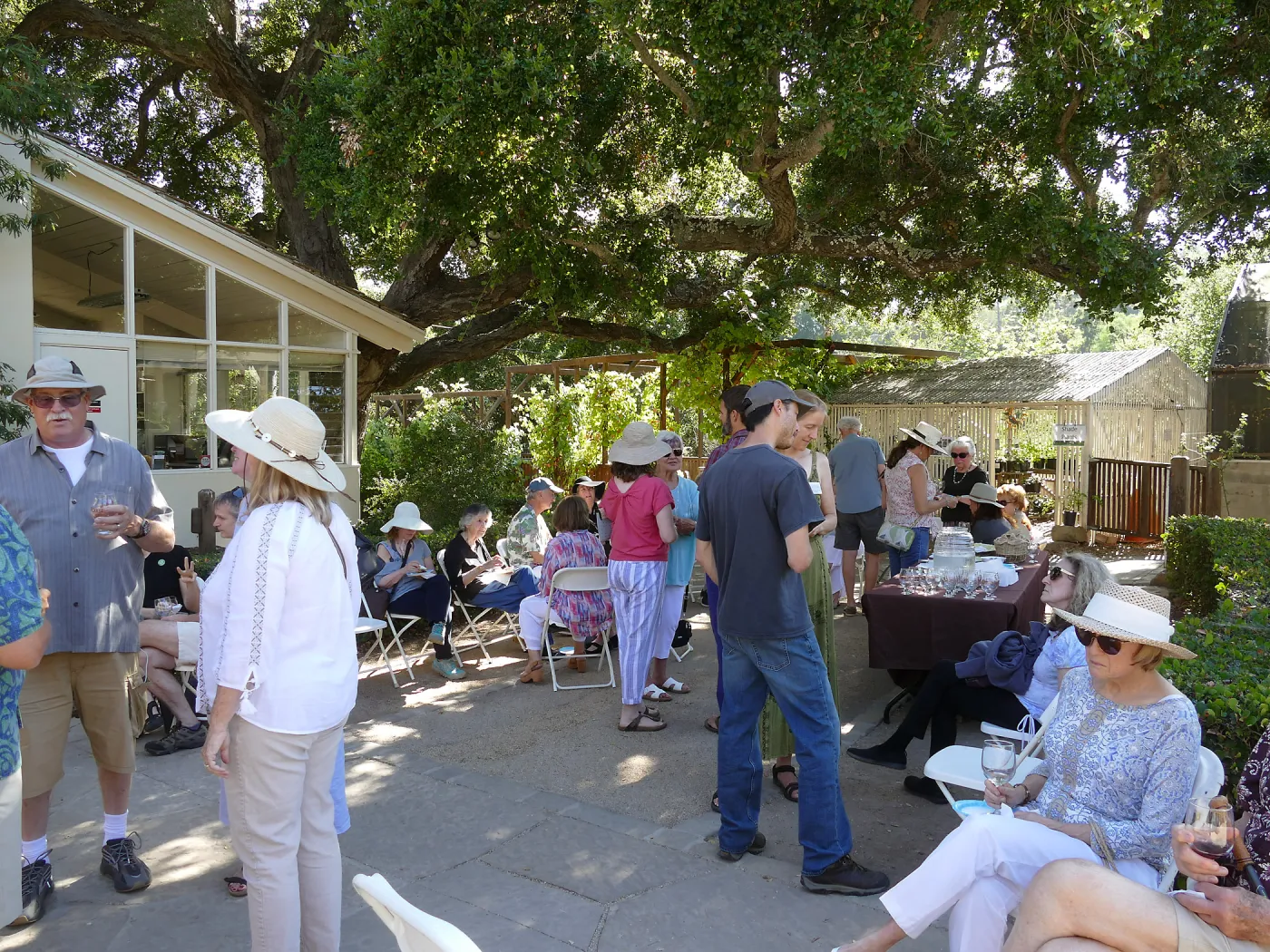 Summer Sips: â€œWhat Wines and Lichens Have in Commonâ€ with Rikke Naesborg