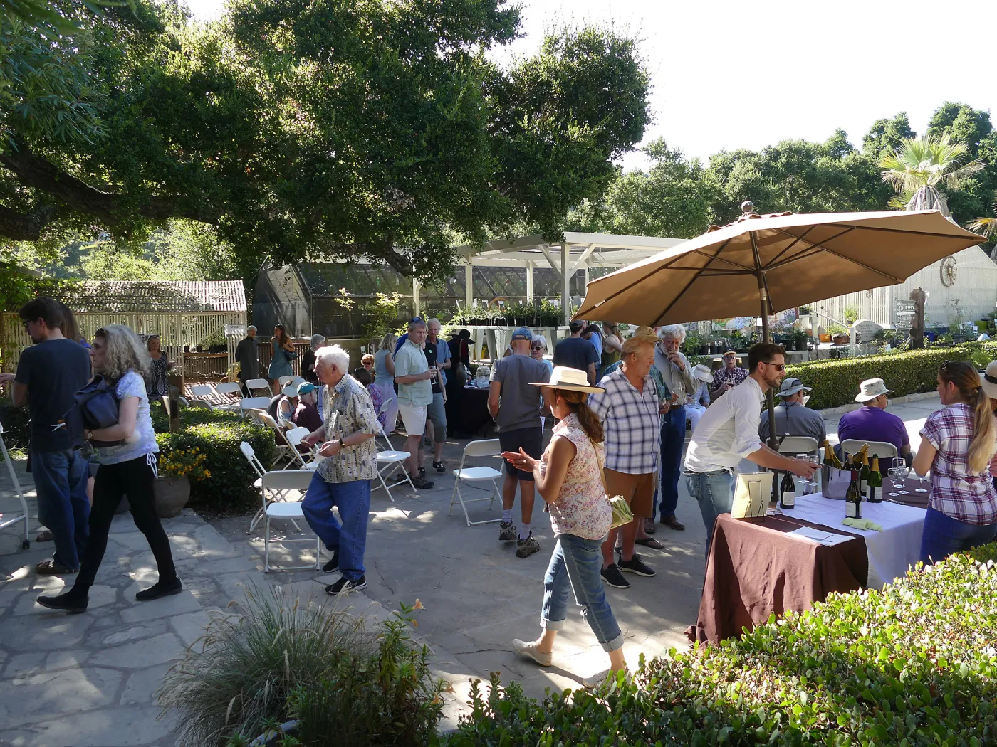 Summer Sips: â€œWhat Wines and Lichens Have in Commonâ€ with Rikke Naesborg