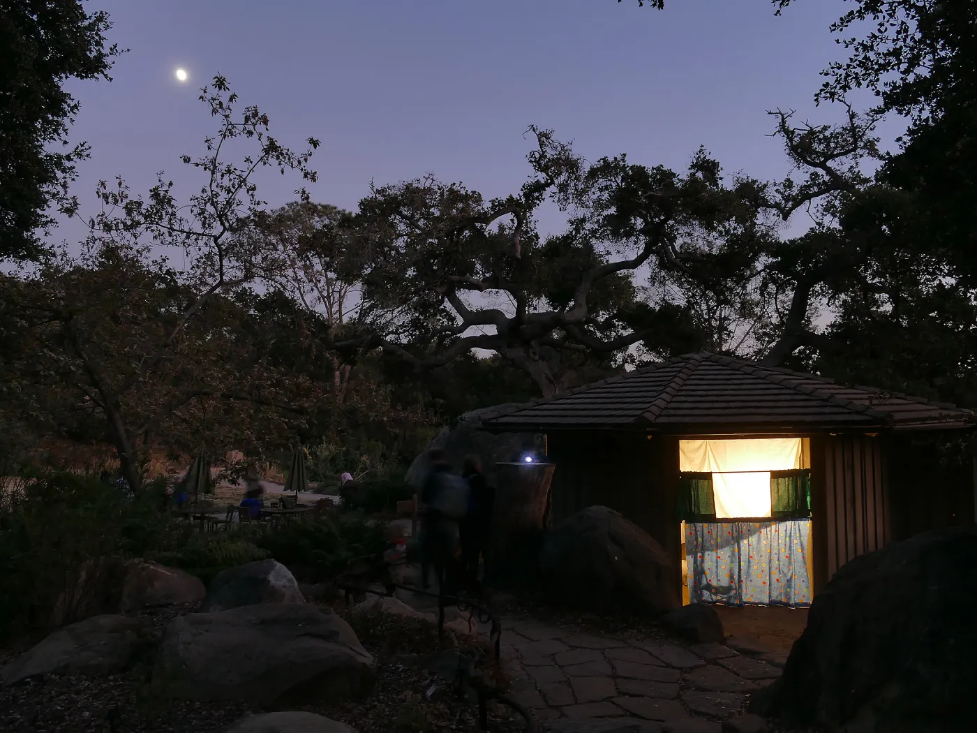 Full Moon Family Night