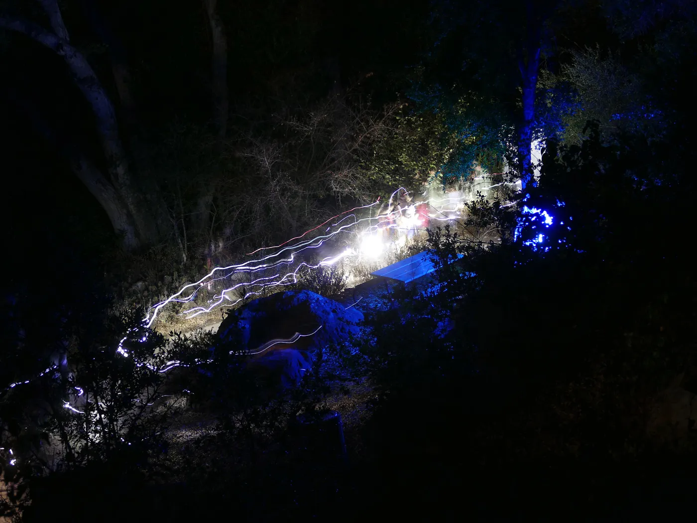 Full Moon Family Night, looking for night insects