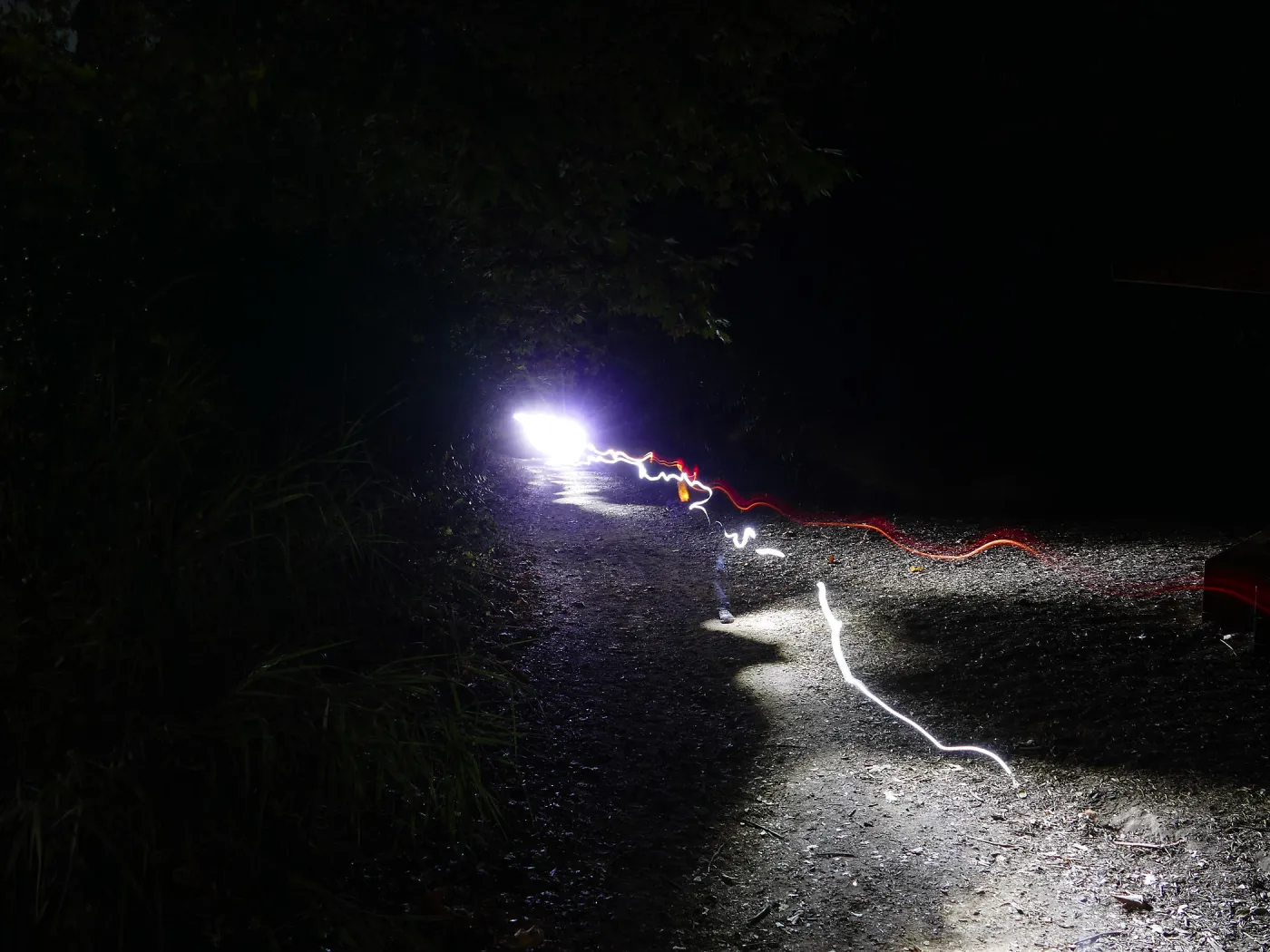 Full Moon Family Night, Canyon Trail