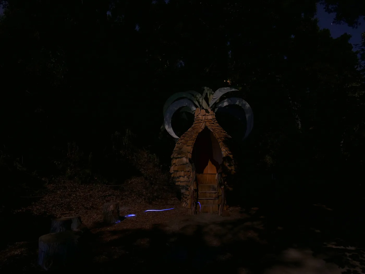 Rings of Time Casita, Full Moon Family Night