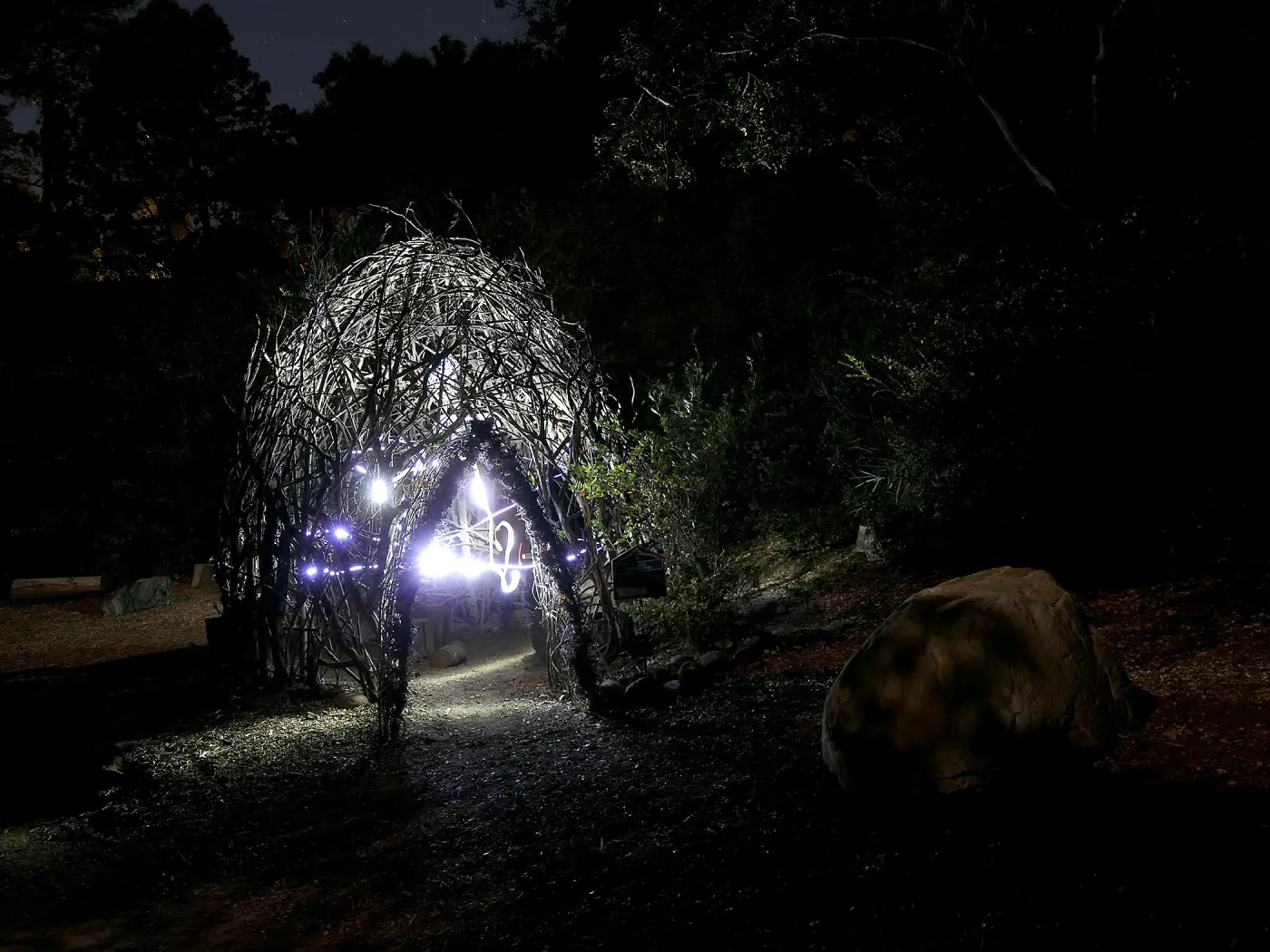 Woodrat House, Full Moon Family Night