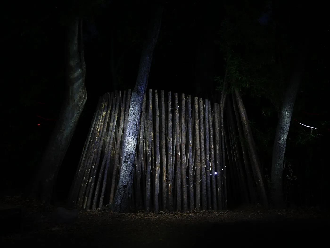 Understory Casita, Full Moon Family Night