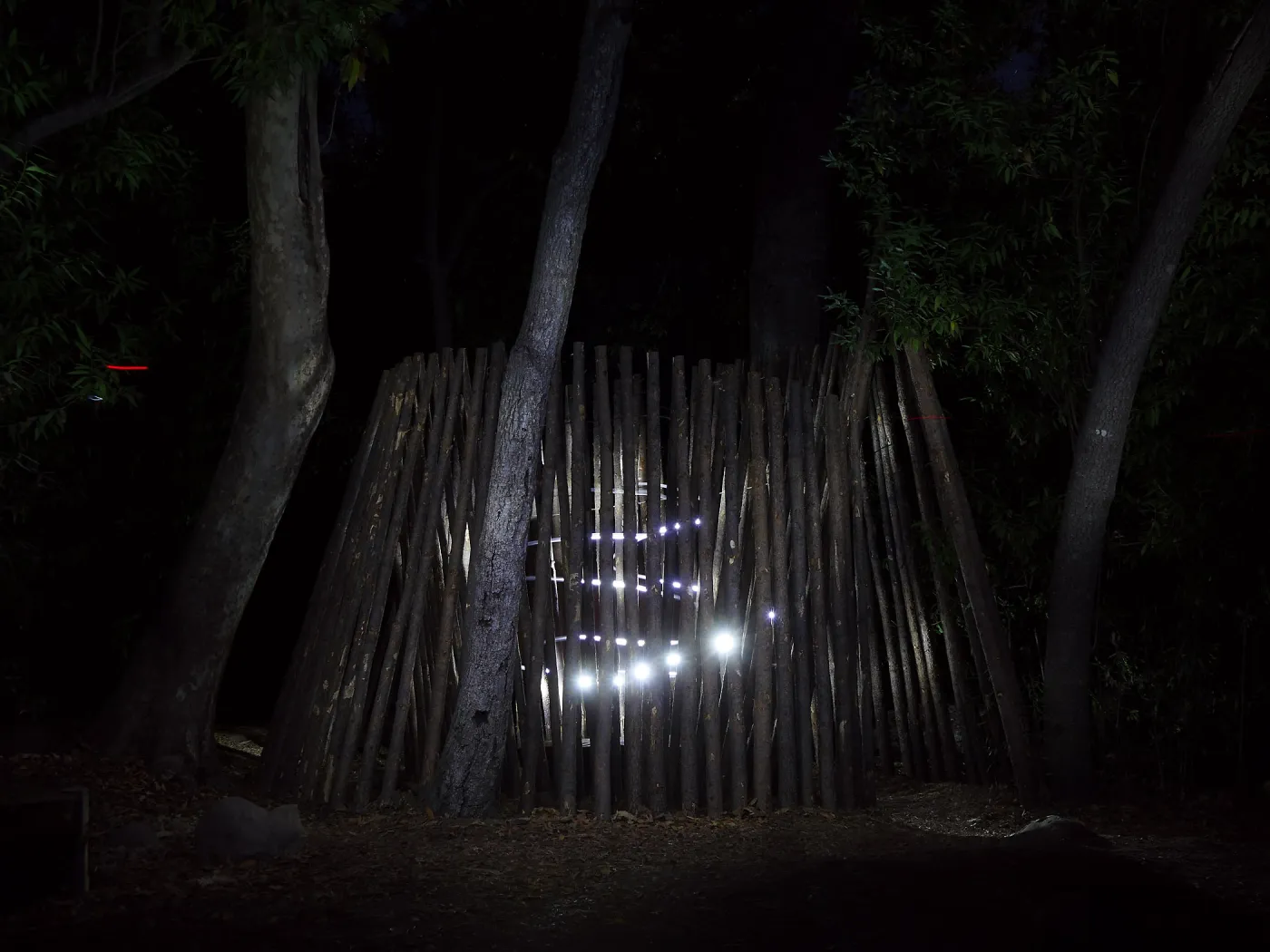 Understory Casita, Full Moon Family Night