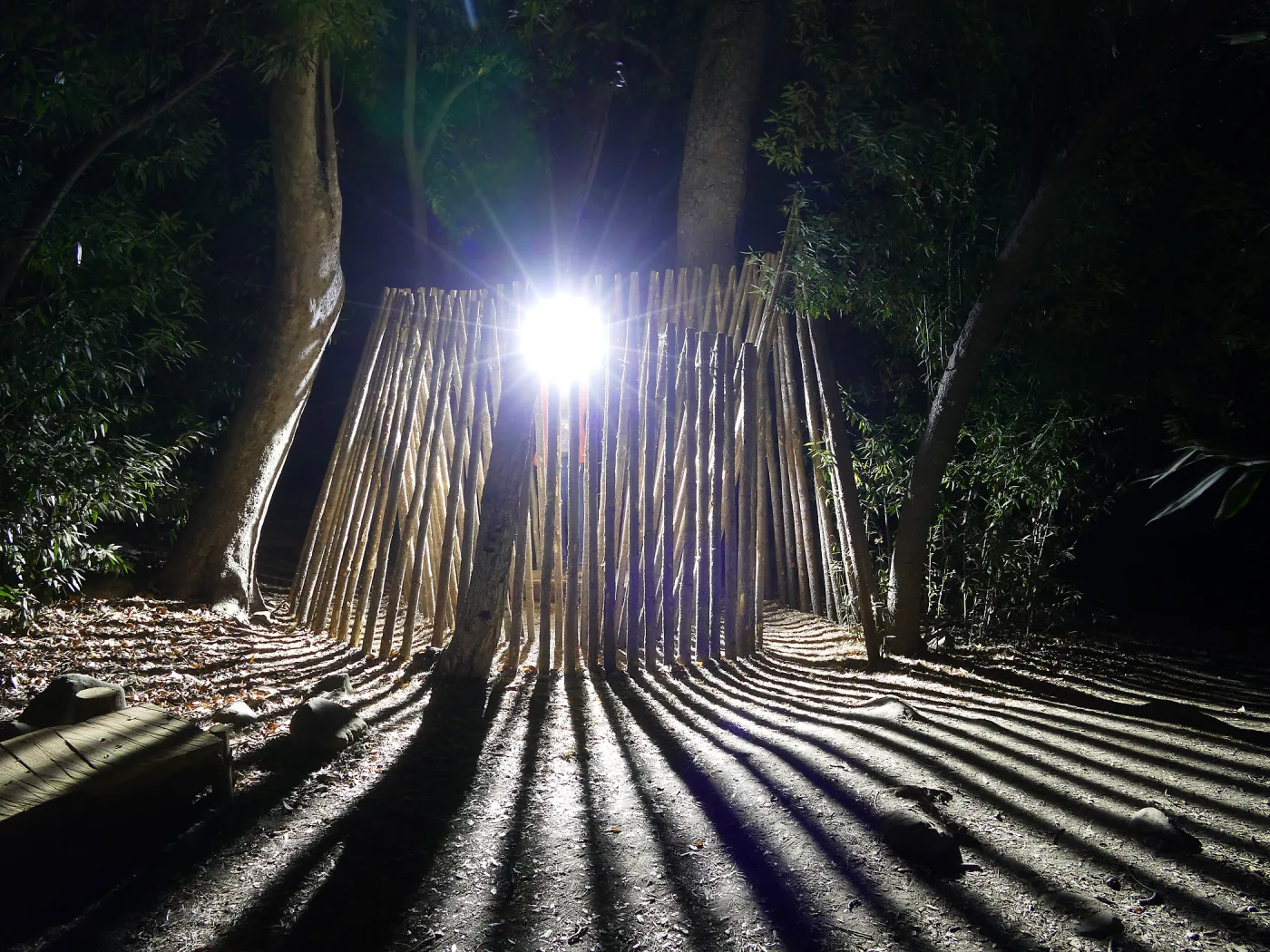Understory Casita, Full Moon Family Night