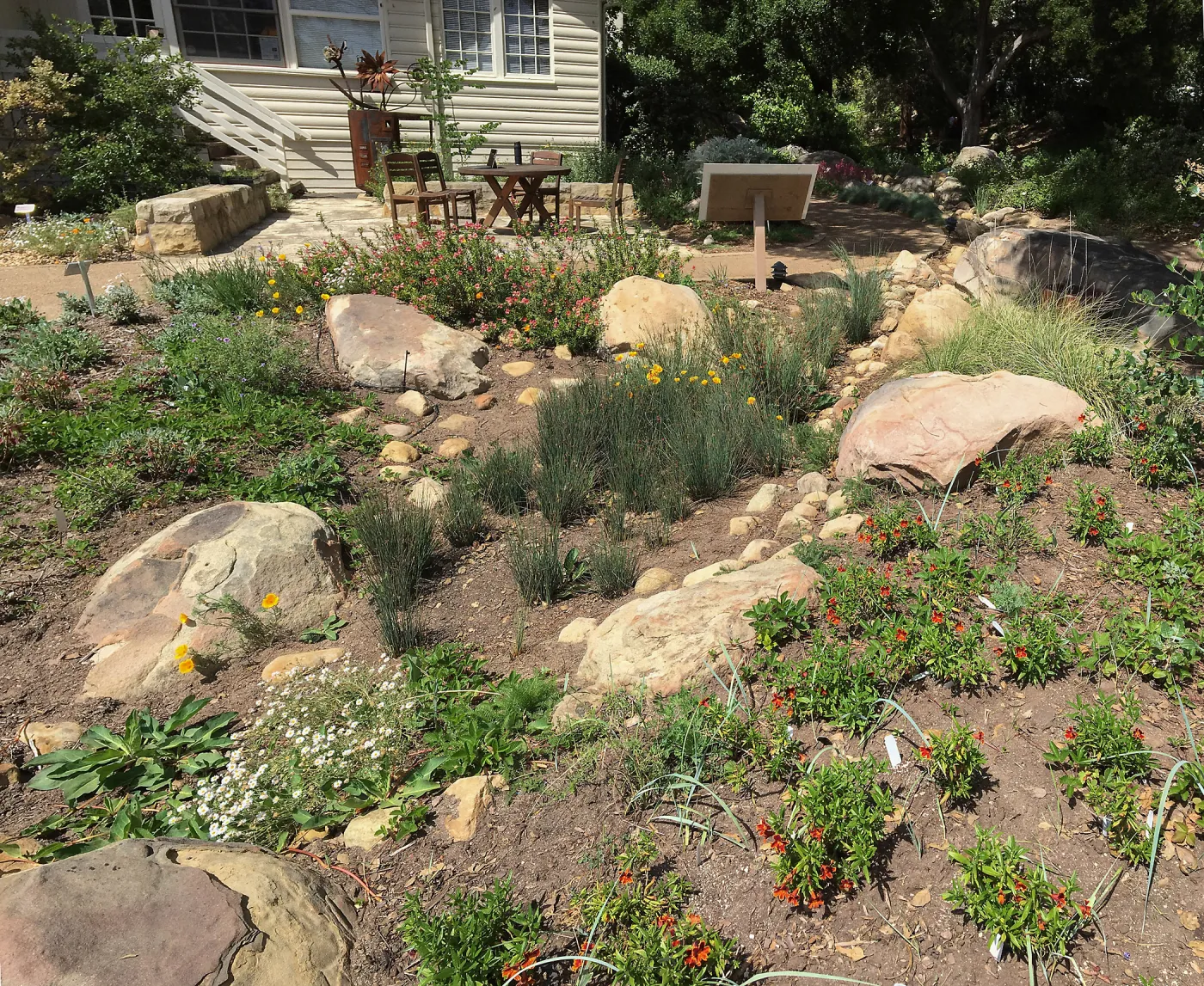 Rain garden at the Water Wise Home Garden