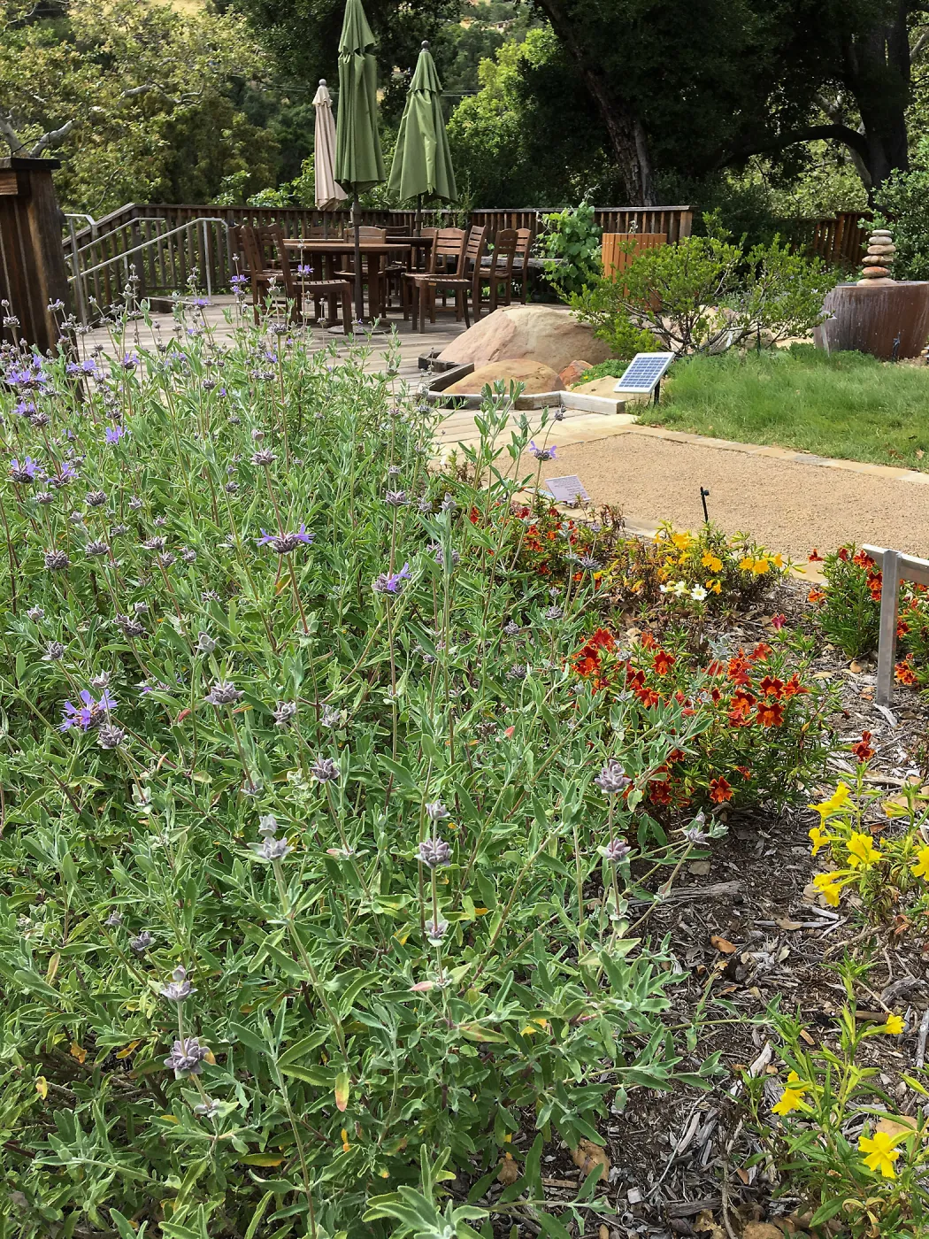 Water Wise Home Demonstration Garden