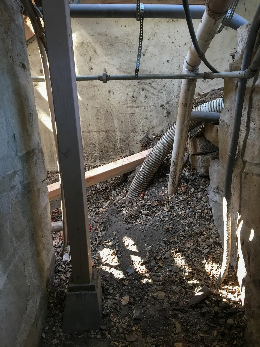 Clean-up and prep for fumigating the Herbarium building
