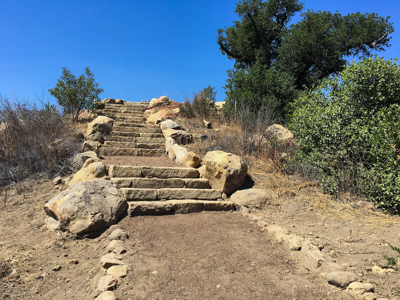 Rebuilt stairs south slope below Island View Garden