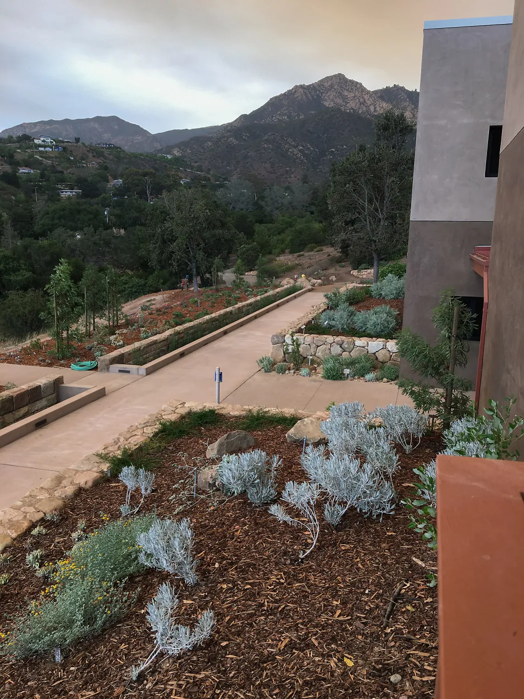 Rare plant collection at the Pritzlaff Conservation Center
