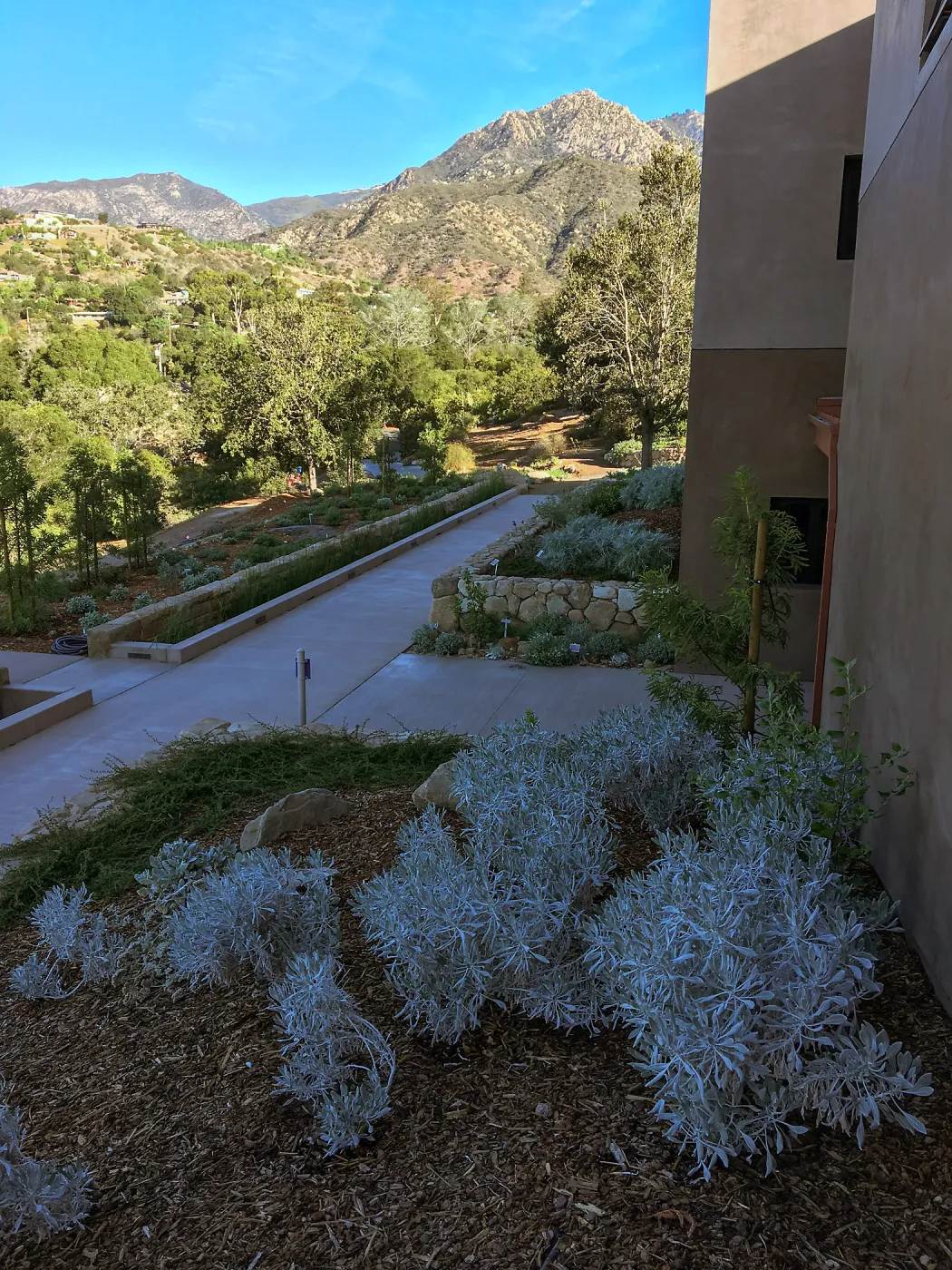 Rare plant collection at the Pritzlaff Conservation Center