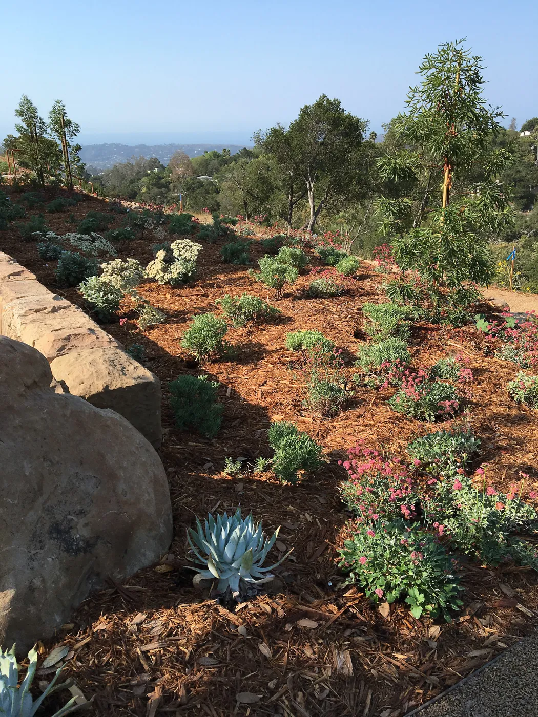 West side of the Island View Garden