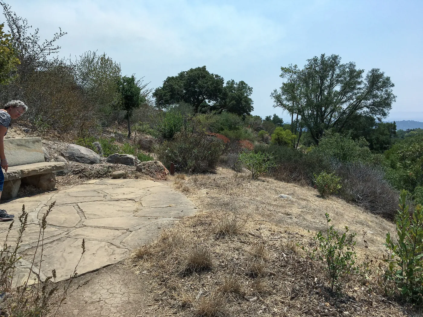 Dabney Bench site on Porter Trail with Aesculus removed