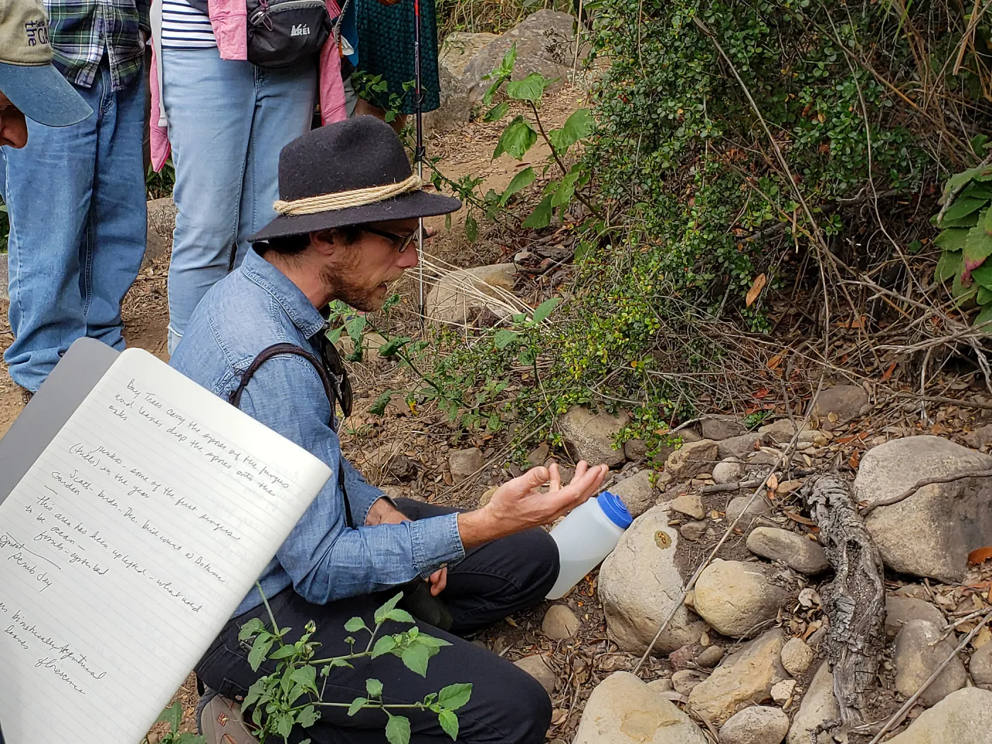 Greet the Day Stroll on the Pritchett Trail