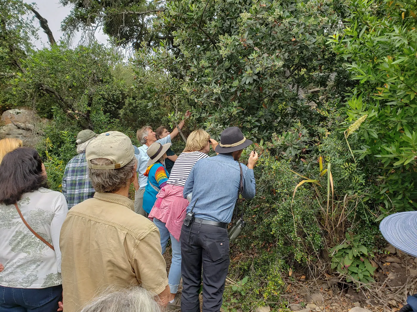 Greet the Day Stroll on the Pritchett Trail