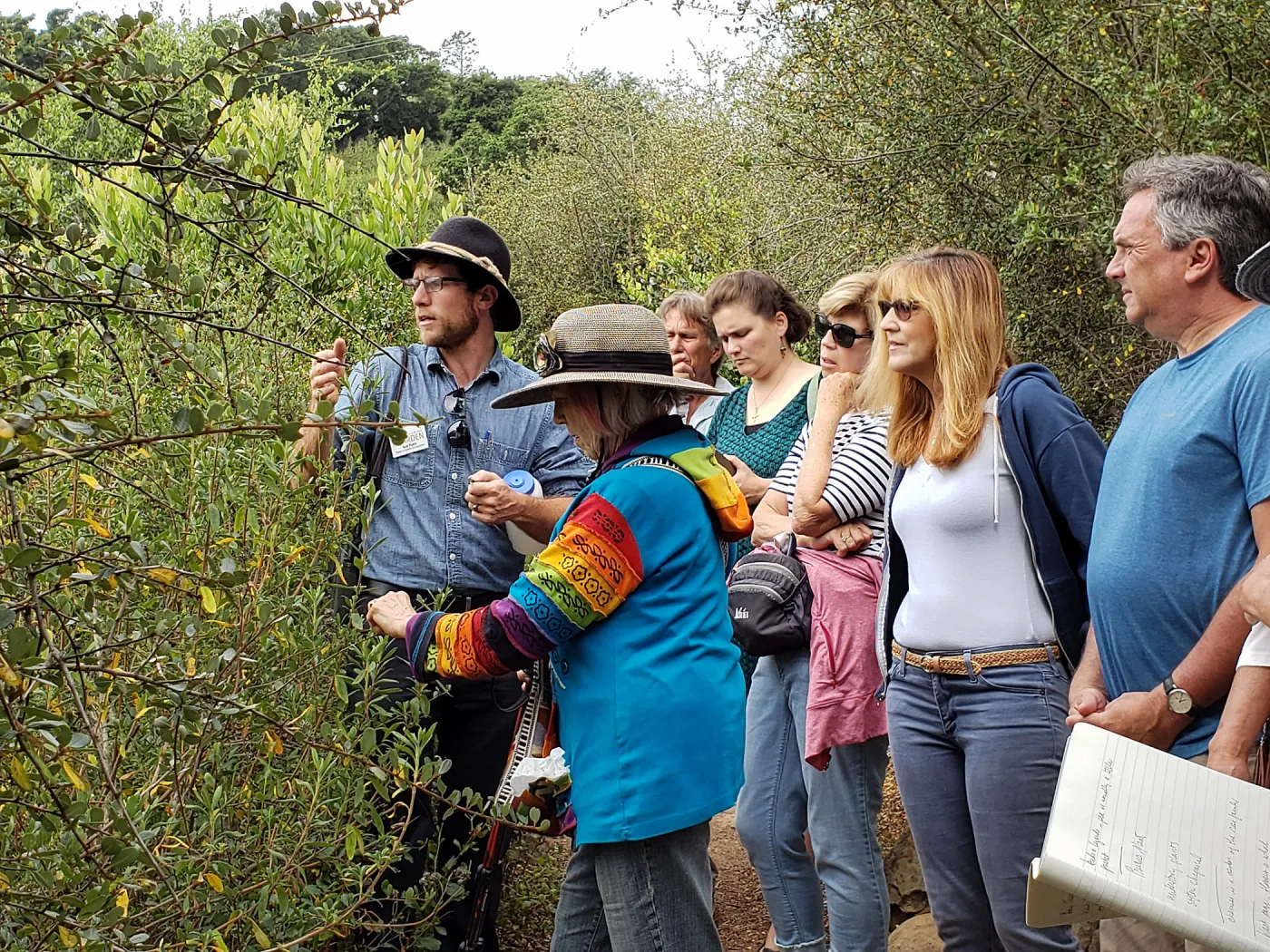 Greet the Day Stroll on the Pritchett Trail