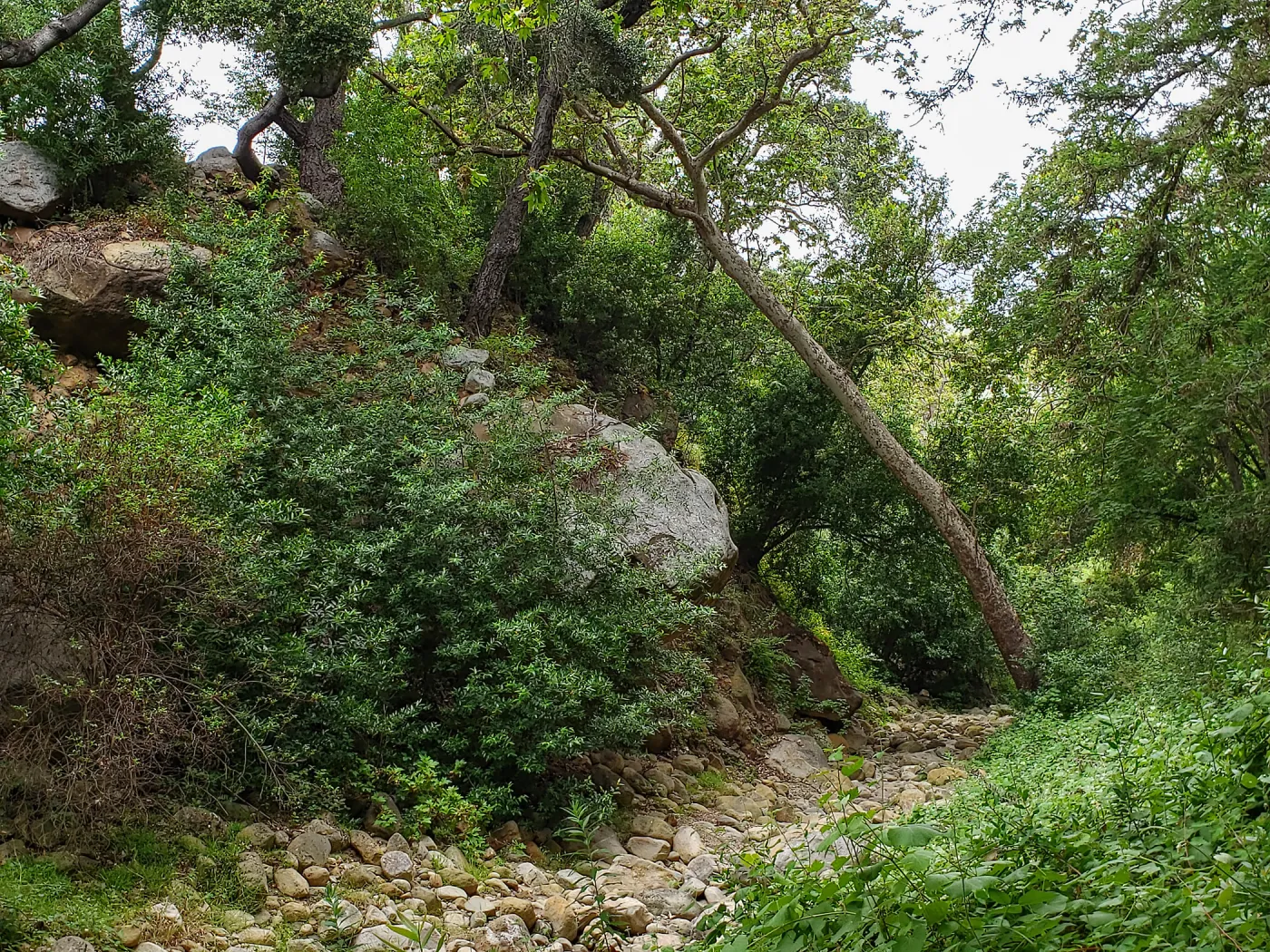 Mission Creek just above Mission Dam