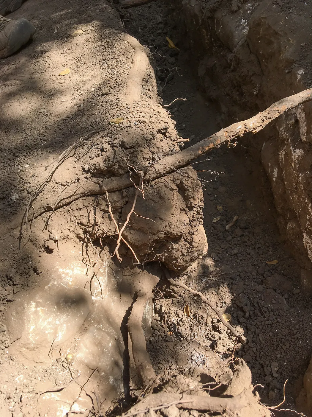 Rebuilding Pritchett Trail, Aqueduct exposed