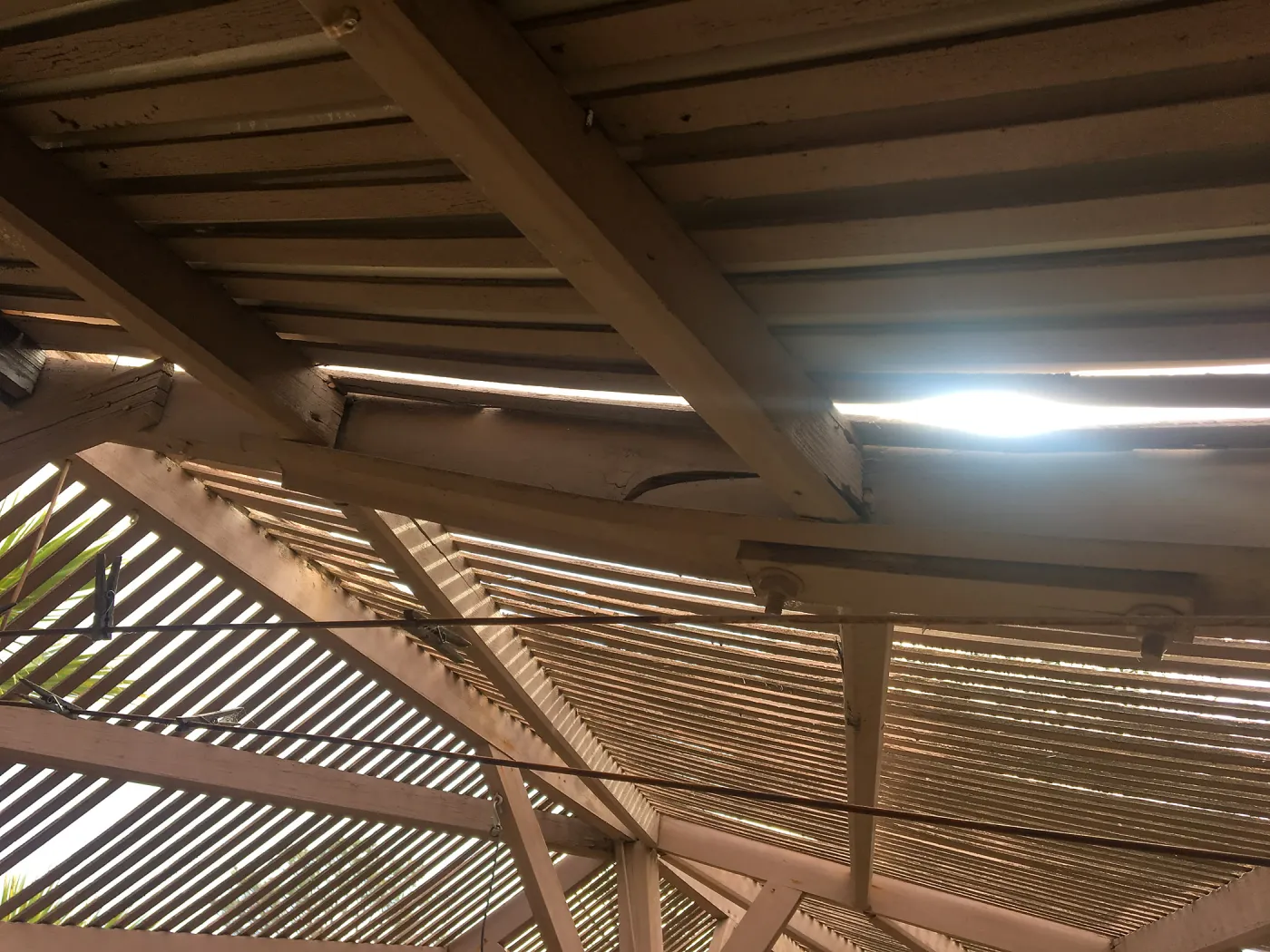 Reconstruction of Garden Growers lath house