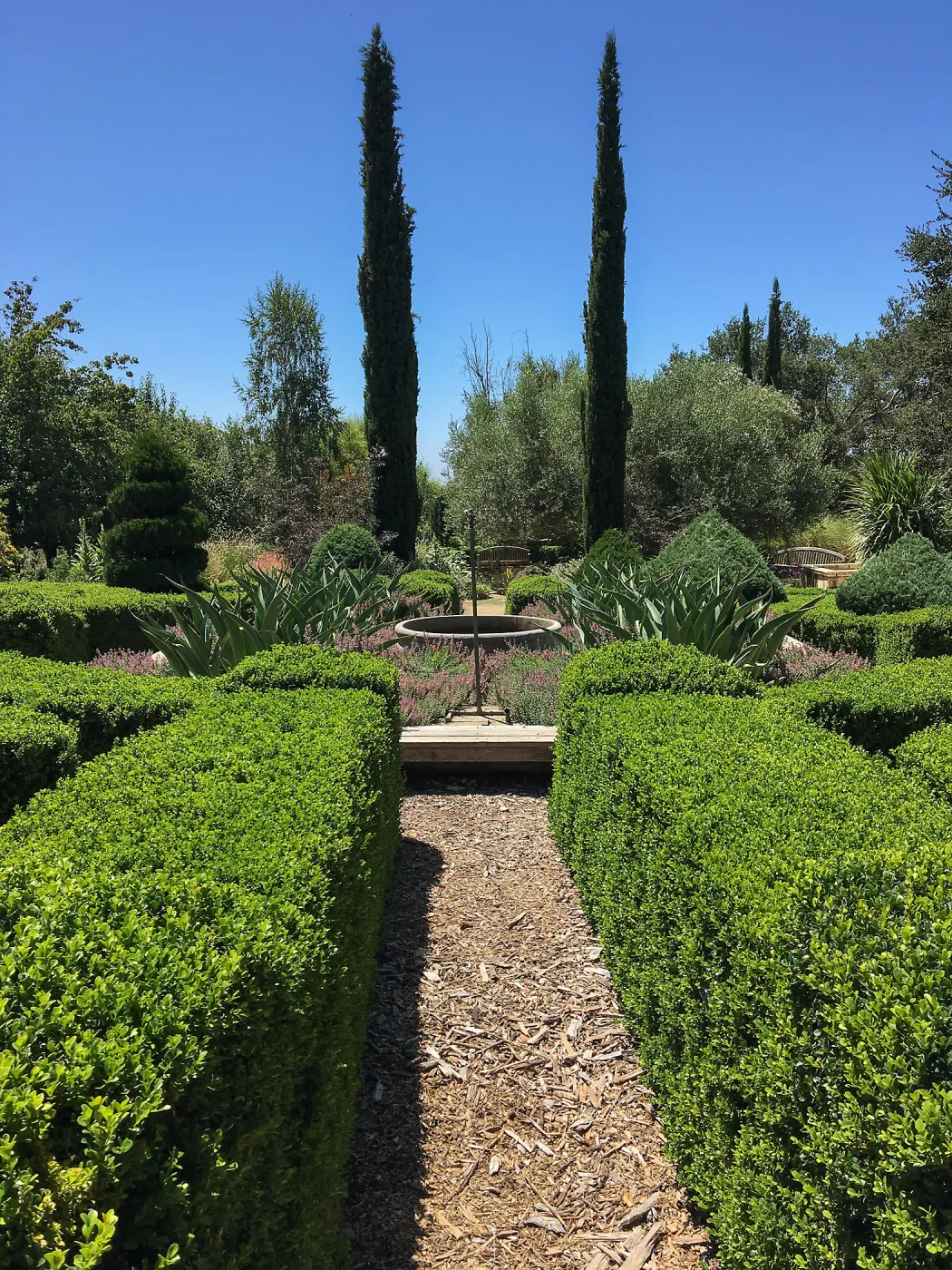 Clipped hedges at Leaning Pine Arboretum, Cal Poly San Luis Obispo