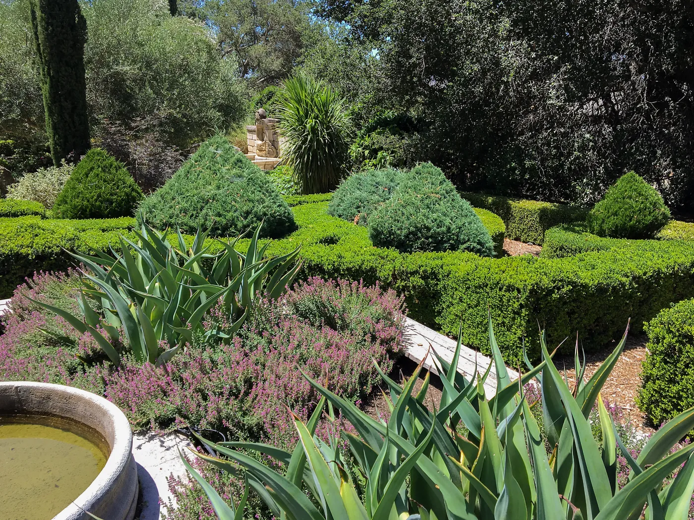 Clipped hedges at Leaning Pine Arboretum, Cal Poly San Luis Obispo