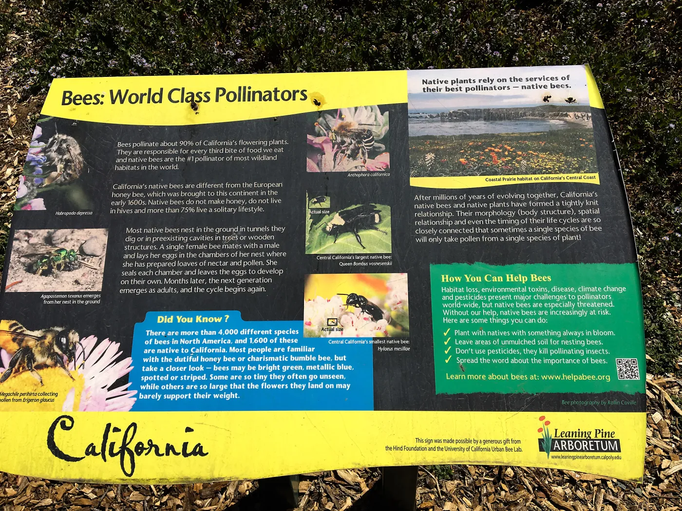 Signage at Leaning Pine Arboretum, Cal Poly San Luis Obispo