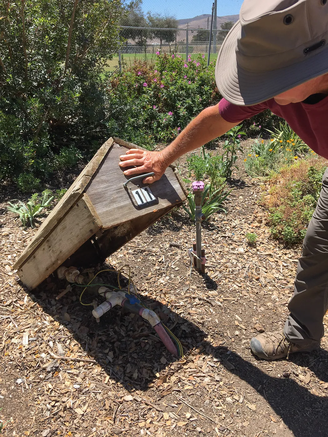 Irrigation valve cover at San Luis Obispo Botanic Garden
