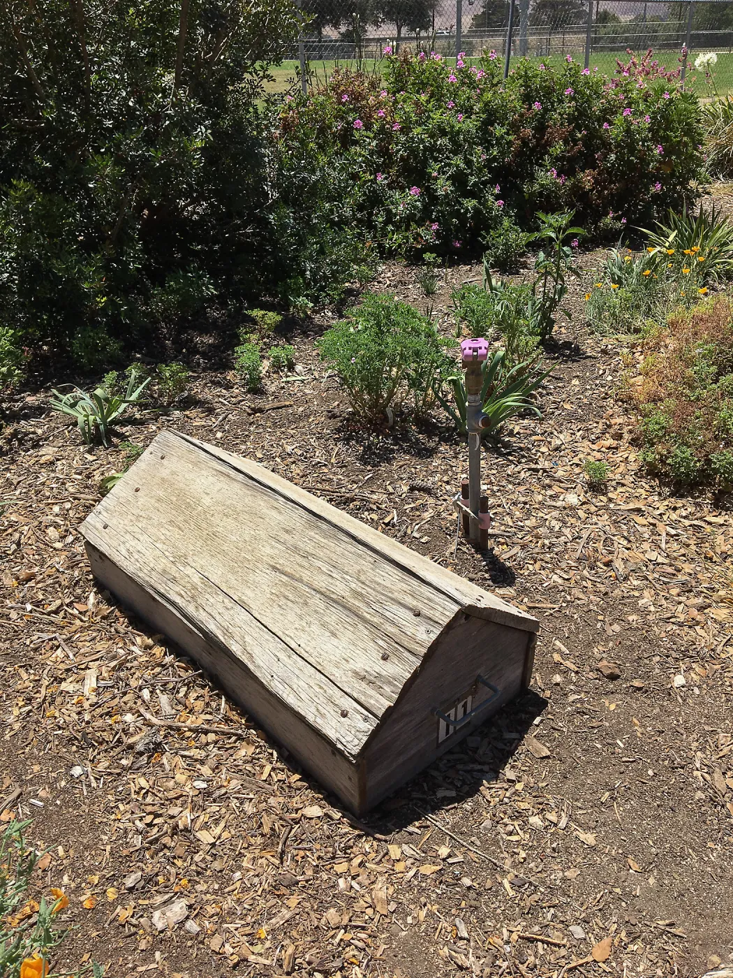 Irrigation valve cover at San Luis Obispo Botanic Garden