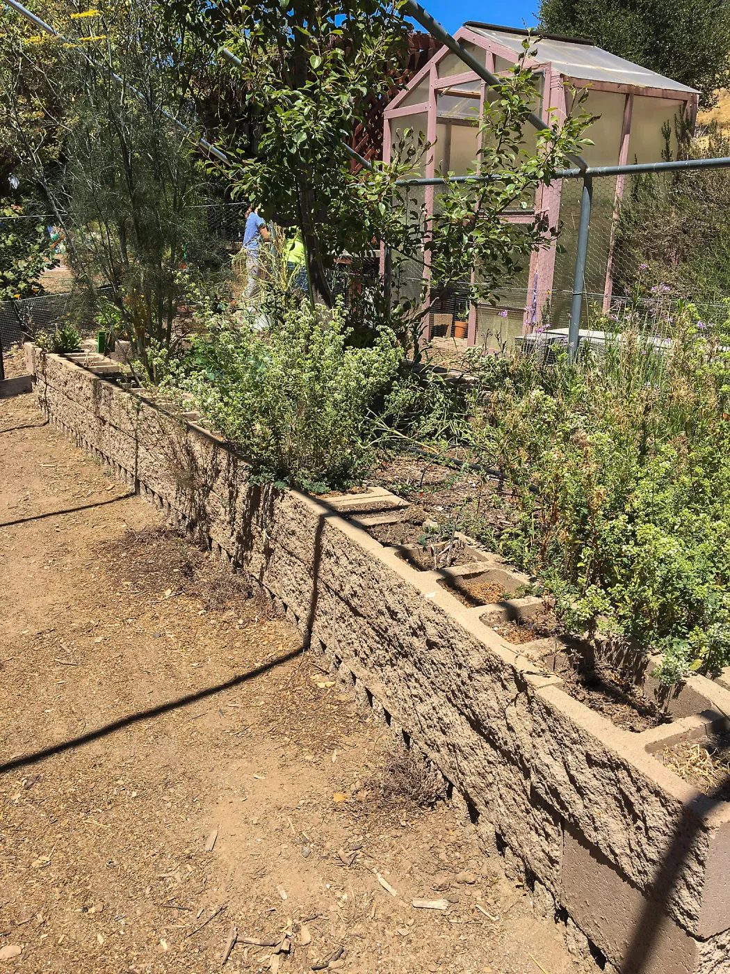 San Luis Obispo Botanic Garden Raised Beds