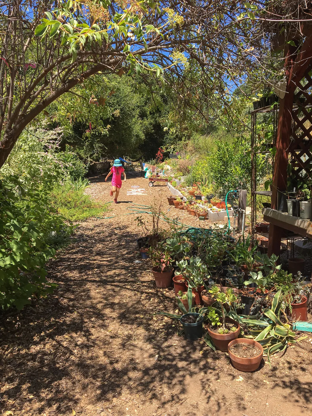 San Luis Obispo Botanic Garden, Childrens Garden