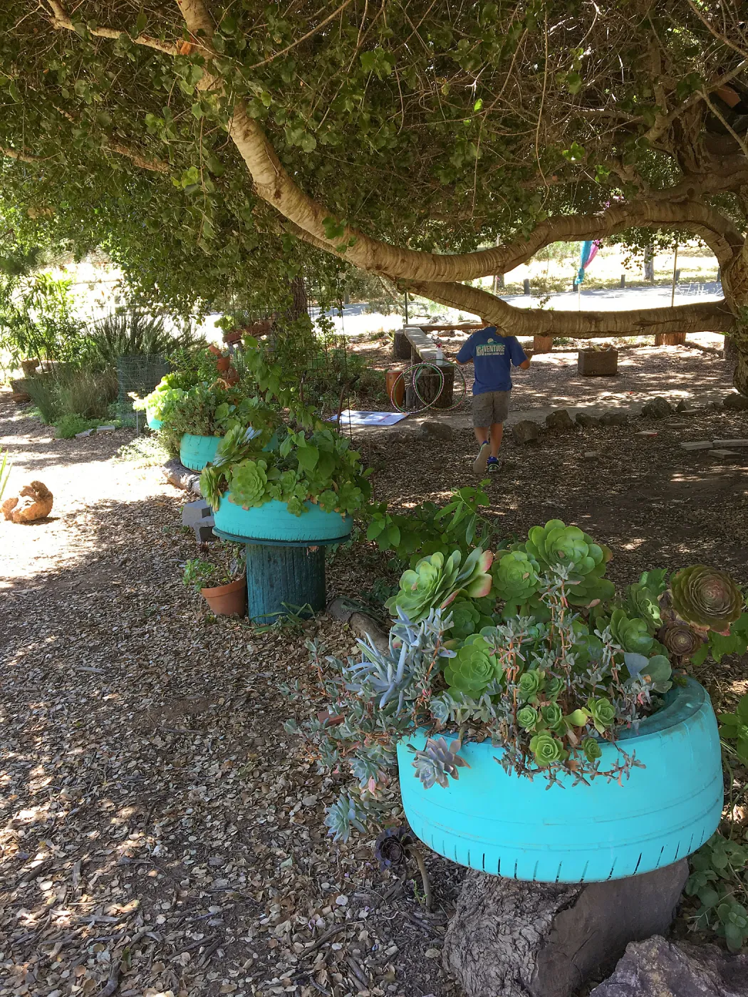 San Luis Obispo Botanic Garden, Childrens Garden