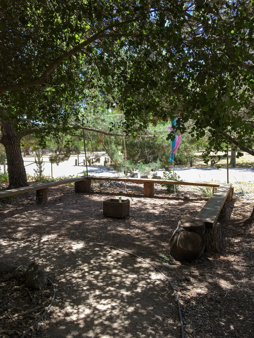 San Luis Obispo Botanic Garden, Childrens Garden, Group Seating Area