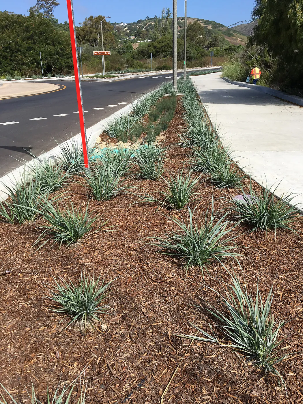Roundabout at Las Positas and Cliff Drive, Leymus Canyon Prince