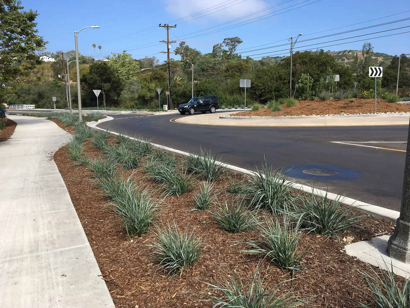 Roundabout at Las Positas and Cliff Drive, Leymus Canyon Prince