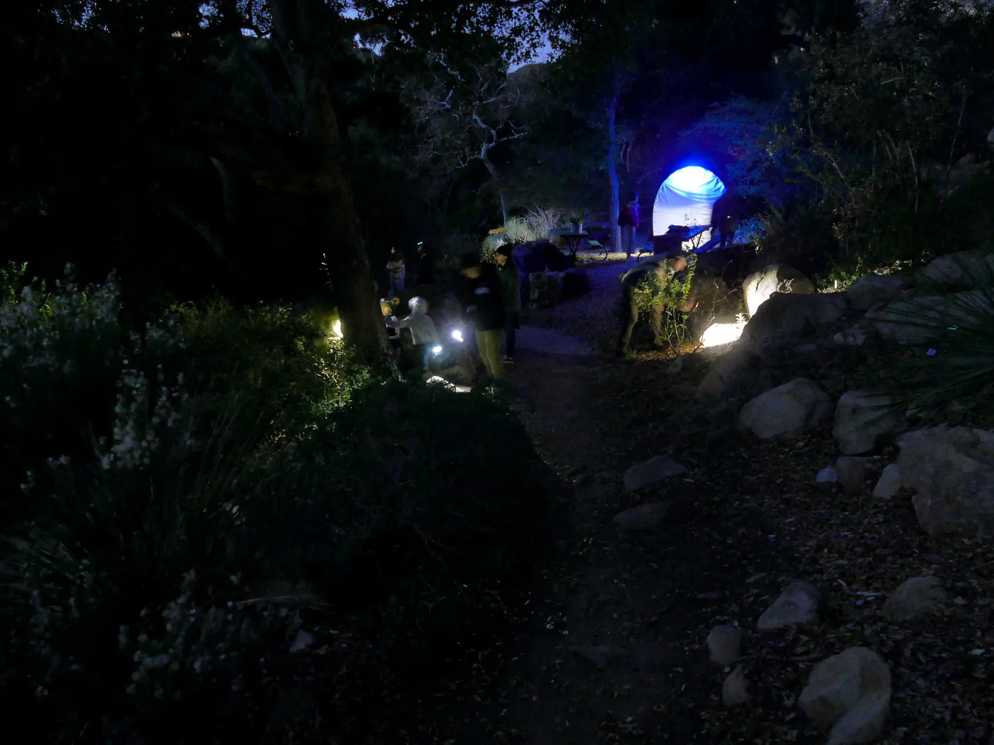 Family Nature Night, searching for insects