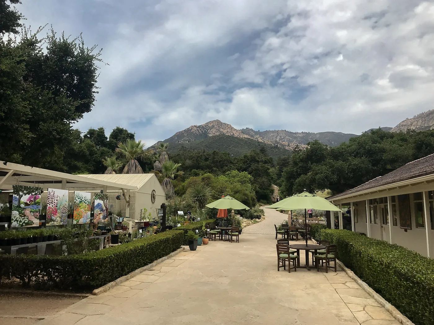 Garden Growers Nursery and Courtyard