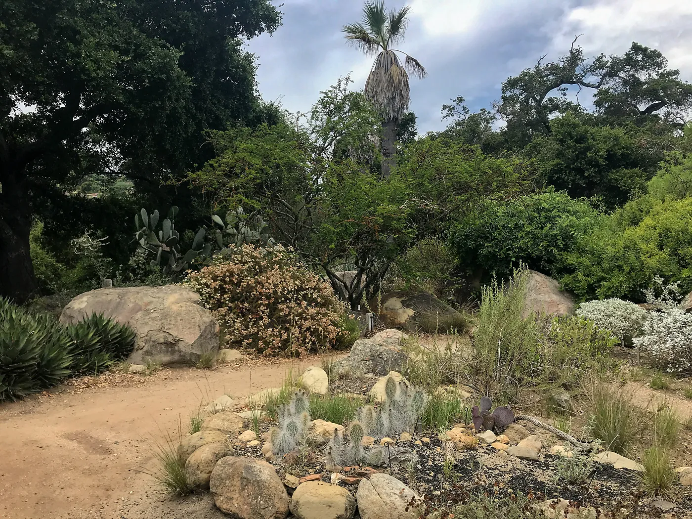 Desert Section