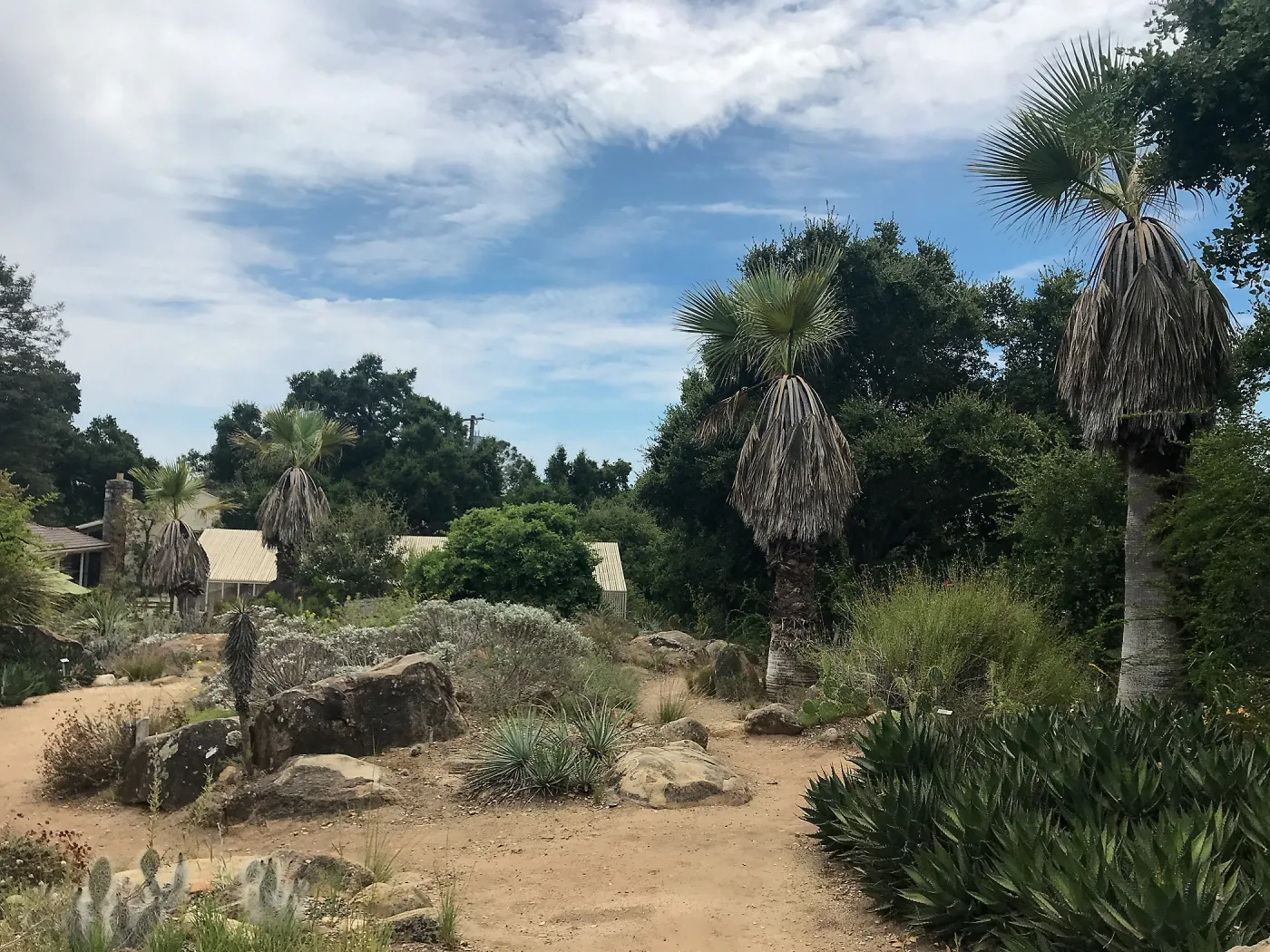 Desert Section
