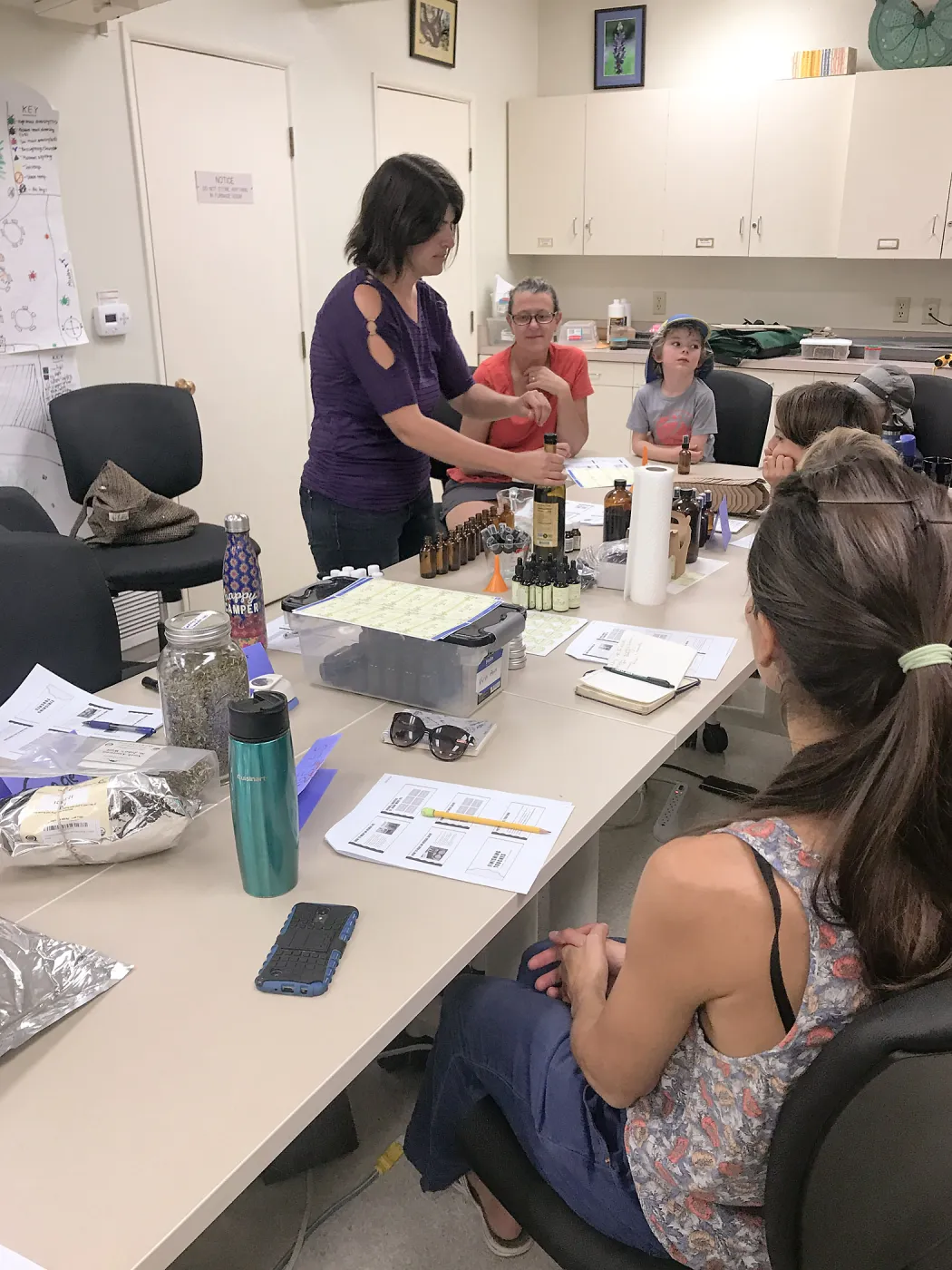 Herbal First Aid Kits For Families Workshop