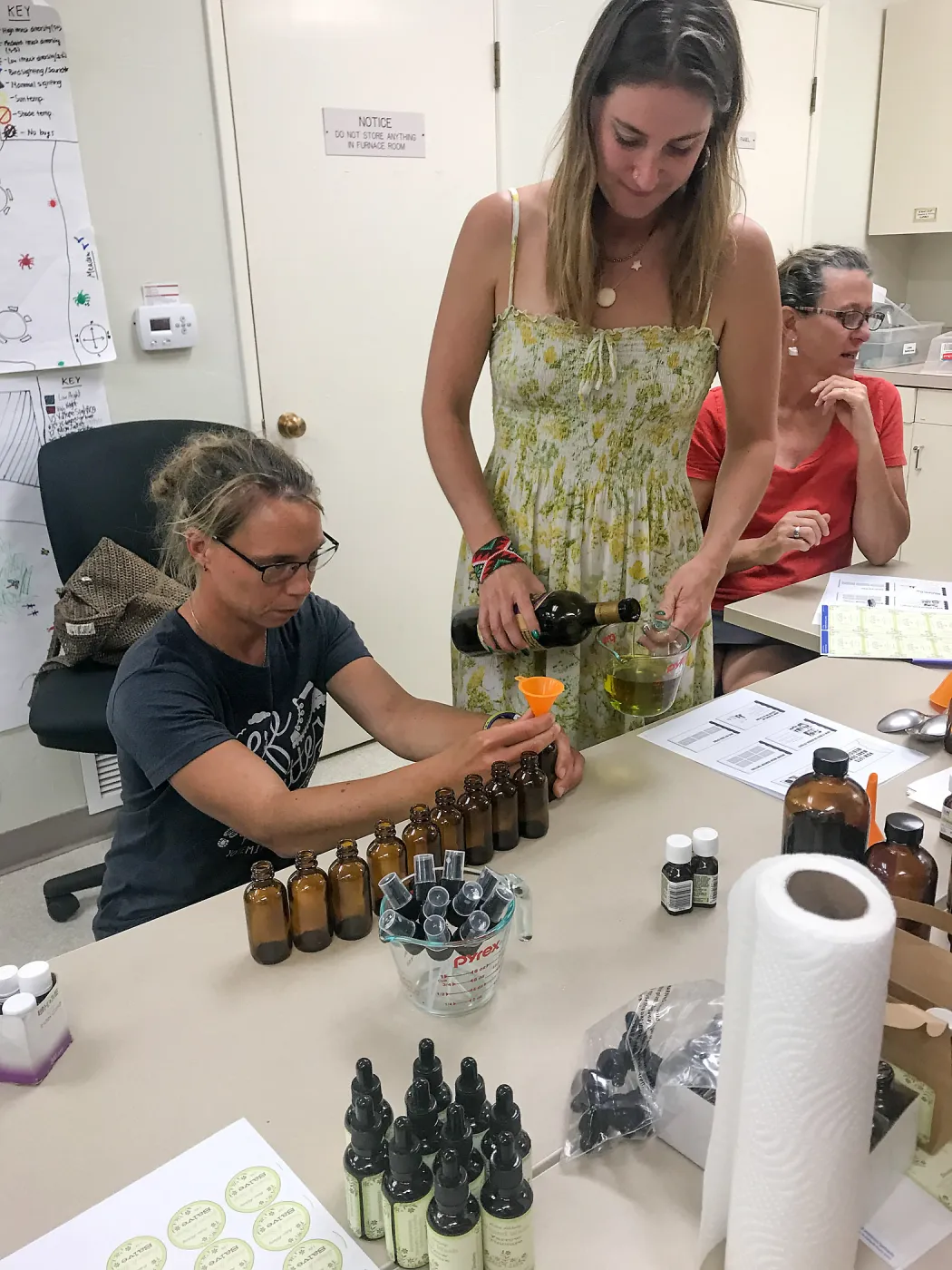 Herbal First Aid Kits For Families Workshop