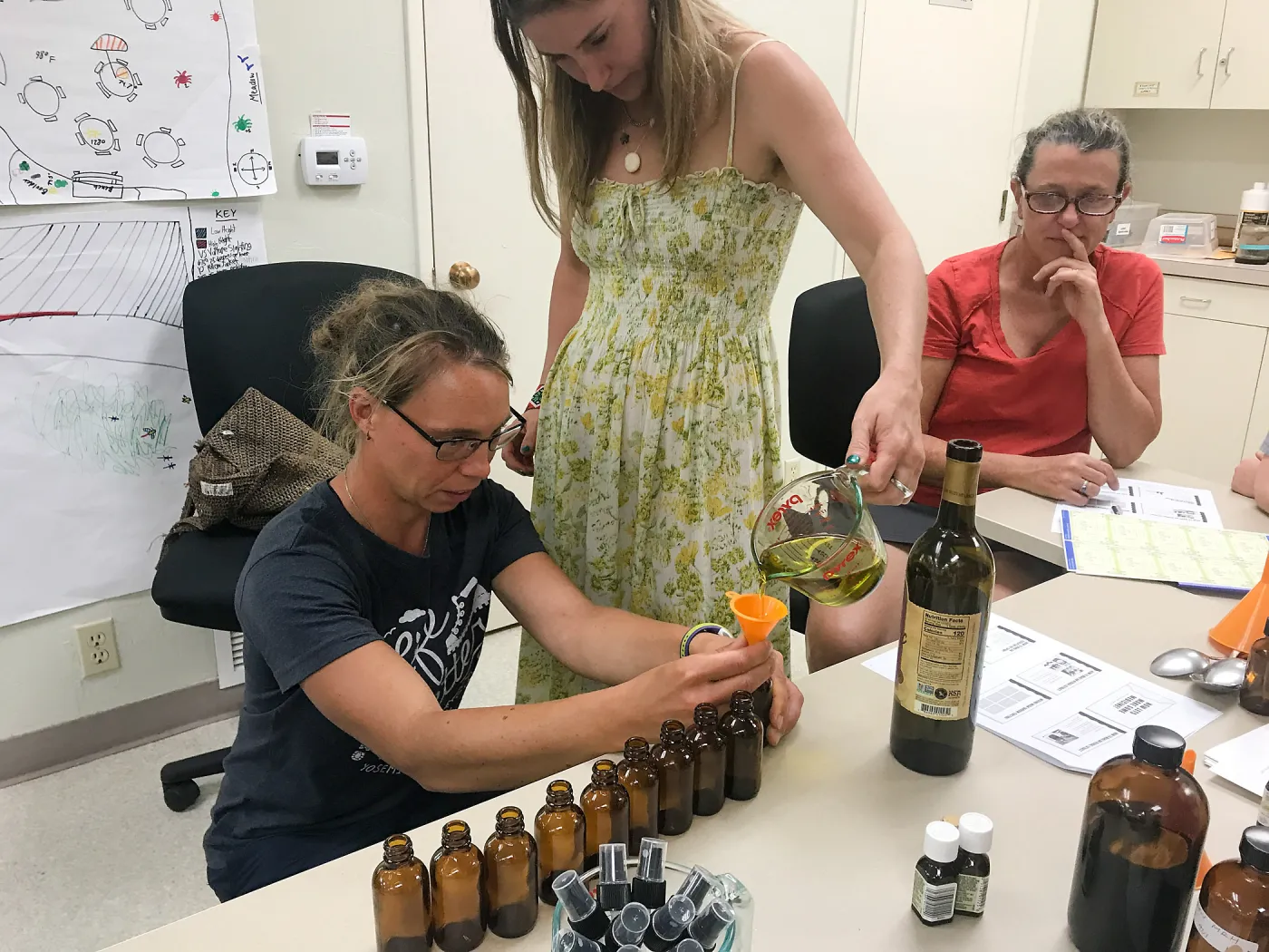 Herbal First Aid Kits For Families Workshop