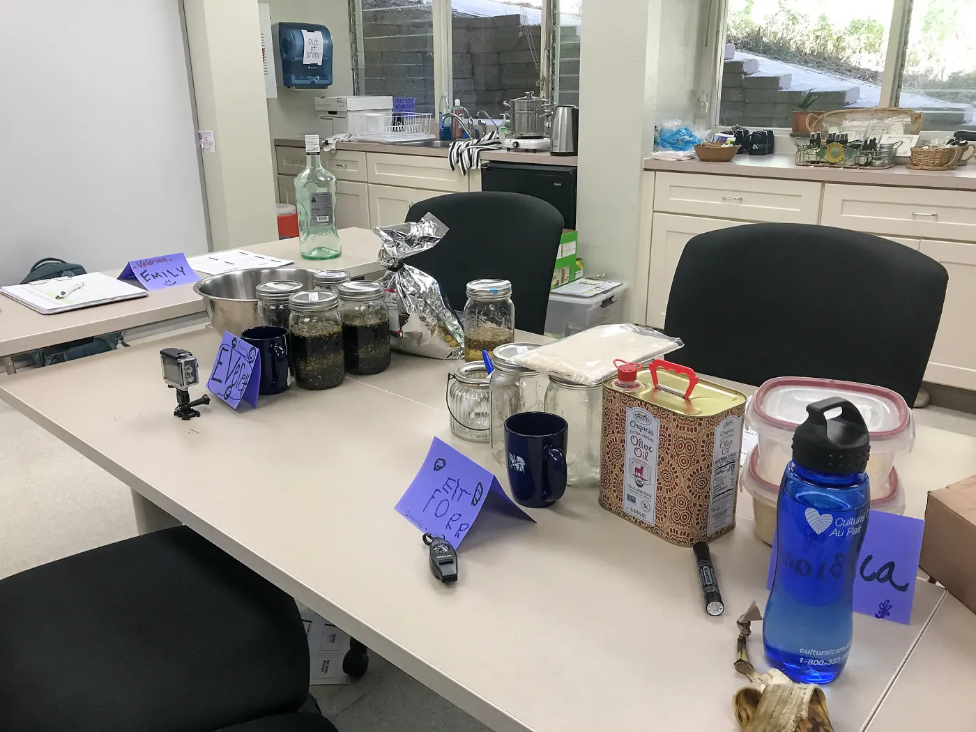 Herbal First Aid Kits For Families Workshop