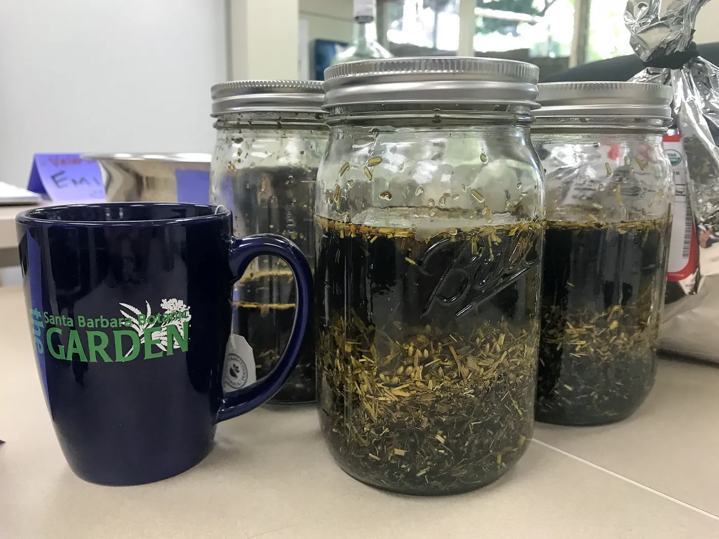 Herbal First Aid Kits For Families Workshop