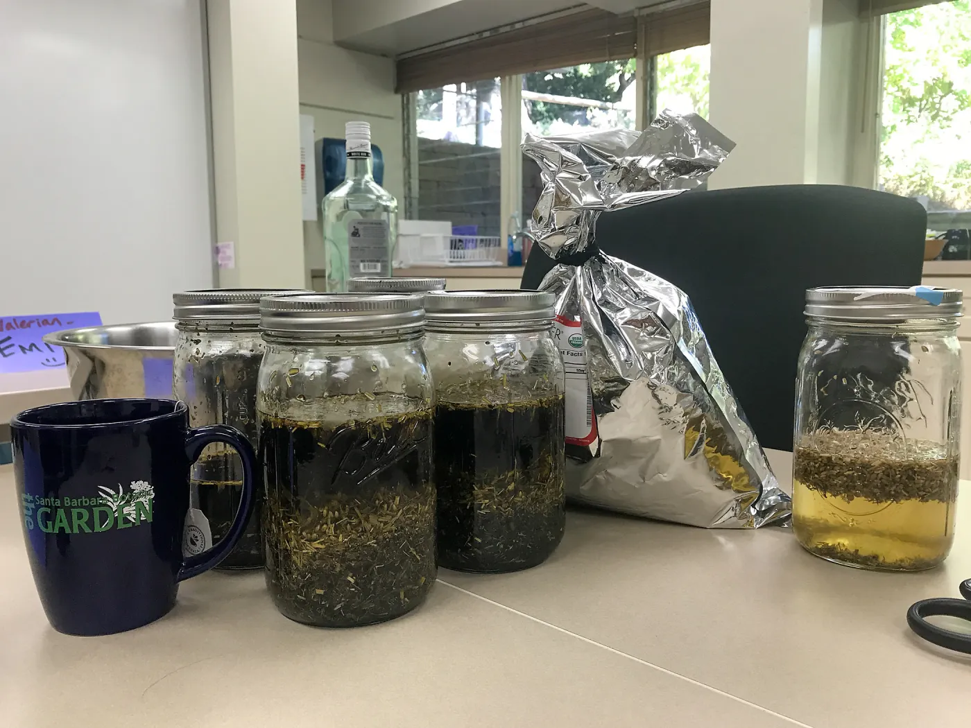 Herbal First Aid Kits For Families Workshop
