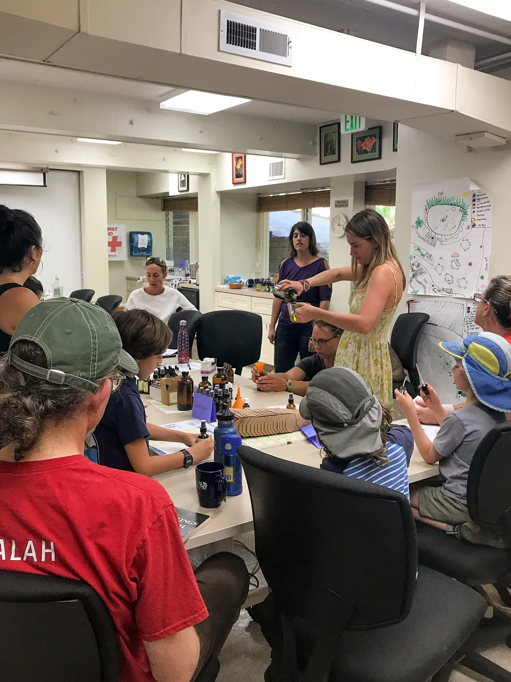 Herbal First Aid Kits For Families Workshop